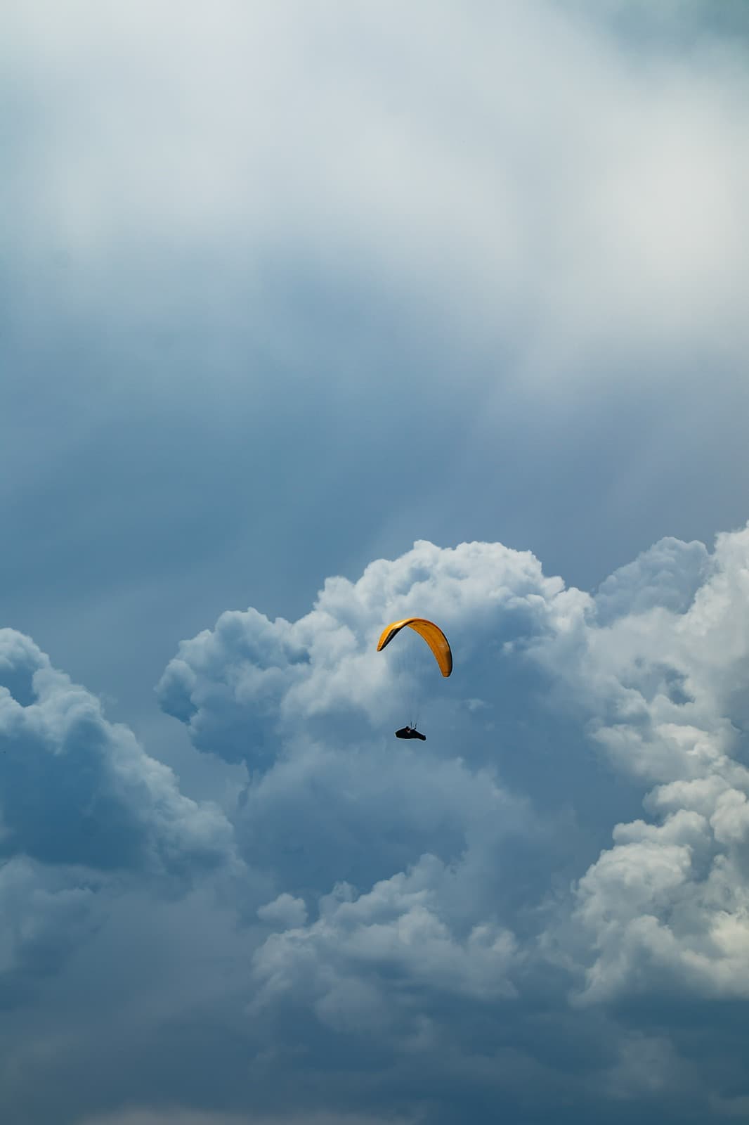 paragliders